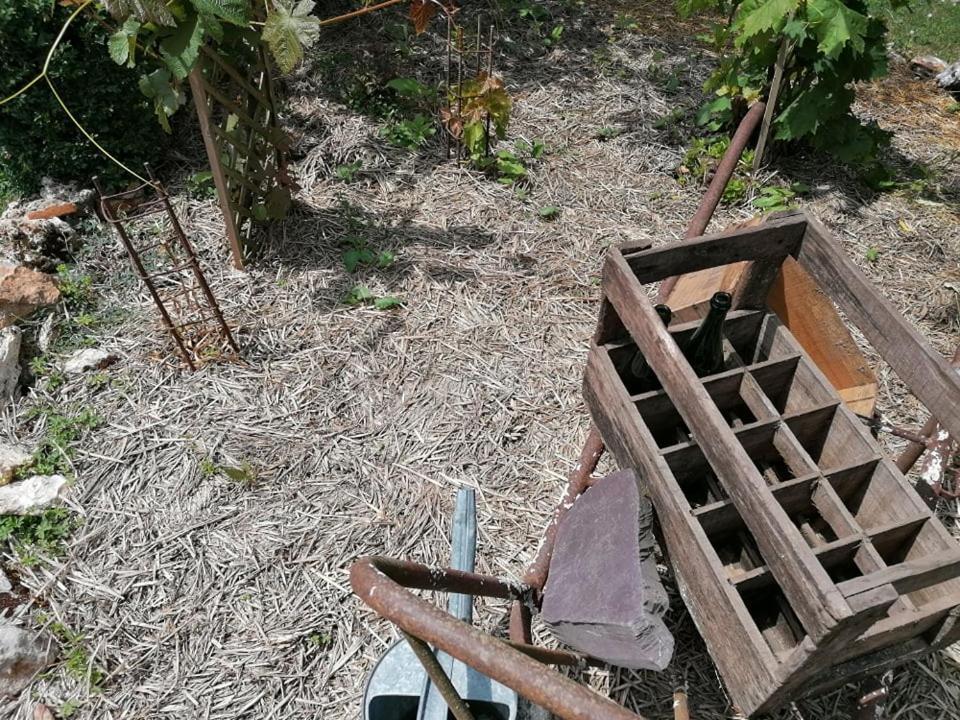 Hotellerie Jardiniers Gourmands Morsains Luaran gambar